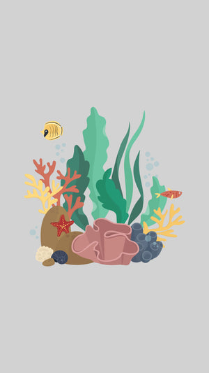 Seaforestation kelp coral plant carbon offset