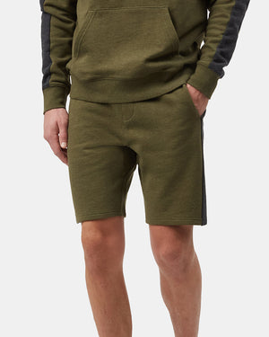 Black,Green Men's Organic Cotton Block Stripe Sweatshorts