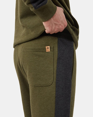 Black,Green Men's Organic Cotton Block Stripe Sweatshorts